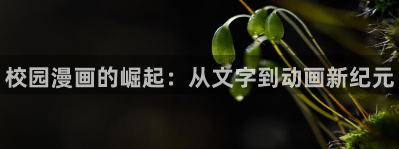 天堂漫画台下载安装