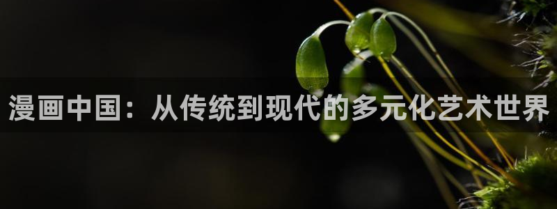 天堂漫画官网下载