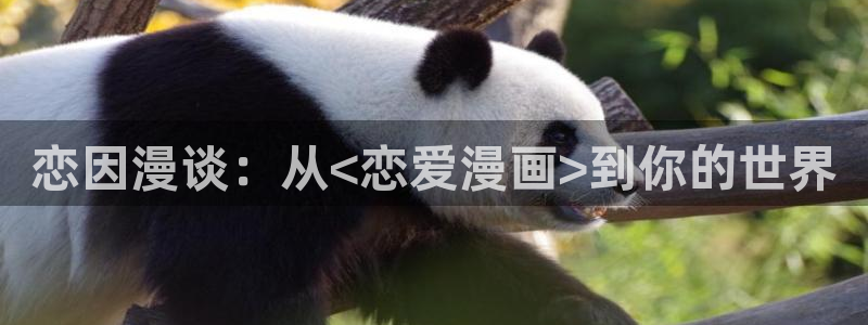 天堂漫画安装包